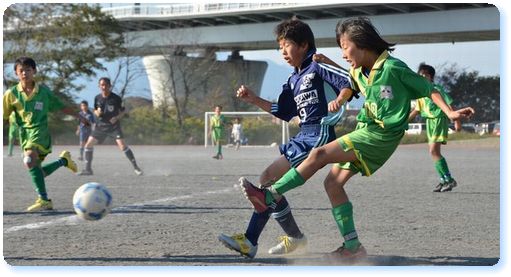 藤沢市サッカー協会 少年