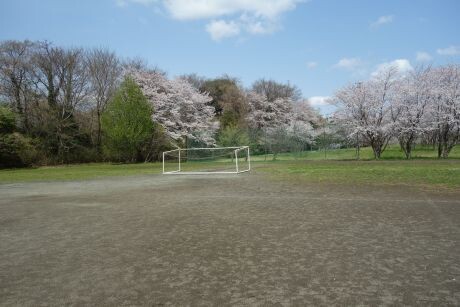 20250407mesaka2dsc09130